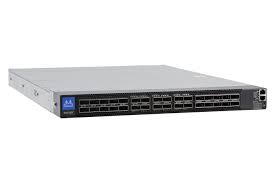 Mellanox MSN4700-WS2R Switch – High-Performance Networking